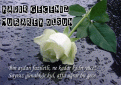 Click image for larger version

Name:	kadir2.gif
Views:	5
Size:	199.6 KB (Kilobyte)
ID:	521030